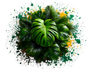 Explosion of tropical foliage: monstera, palm, banana, and ferns bursting from the center like a natural firework, styled over white background, isolated to transparent background