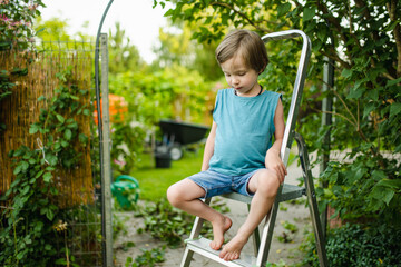 Adorable little boy having fun outdoors on sunny summer day. Kid running outdoors. Child exploring...