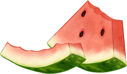 Bitten Watermelon Slice with Rind, Vector Illustration