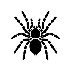 Spider icon vector illustration