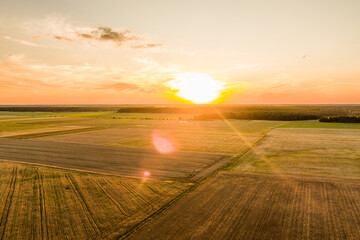 Aerial view of agricultural parcels of different crops. Lone tree in the middle of a field. Hay...