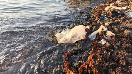 Plastic waste and debris on a polluted shoreline. The water is contaminated with garbage,...