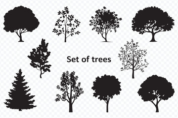 silhouette illustrations of various tree species including magnolia, maple, lilac, castor, and more