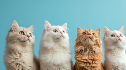 A delightful group of four cats with distinct fur patterns and colors observe something above, showcasing their curiosity and playful nature against a vibrant backdrop.