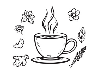 Minimal Herbal Tea Line Drawing