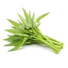 Morning Glory Bunch: Freshly harvested bunch of vibrant green morning glory stems and leaves, showcasing its natural beauty and healthy appeal.
