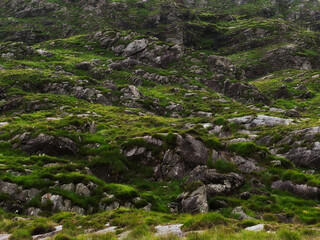 Irish countryside displays rocky terrain, vibrant green grass and overcast sky during the daytime...