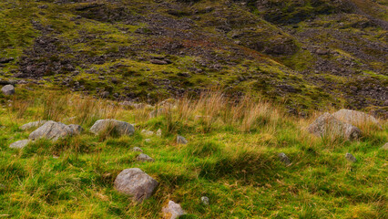 A scenic grassy landscape with some rocks is viewed during the daytime. A hillside is partially visible in the background. The location is County Kerry in Ireland.