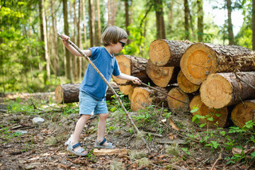 Little boy exploring in beautiful mixed pine and deciduous forest of Lithuania.