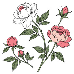 seamless pattern with roses