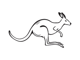 Kangaroo Line Art Illustration