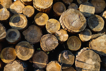 Dry chopped firewood logs stacked up on top of each other in a pile