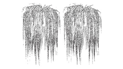 Dense Weeping Vines Silhouette Drawing