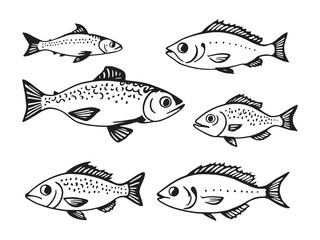 Moorish fish vector line art