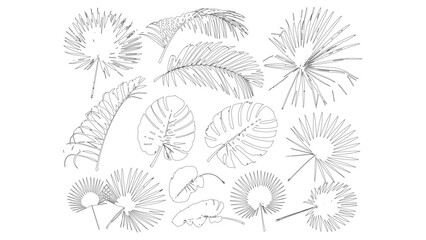 Palm and Monstera Line Art Collection