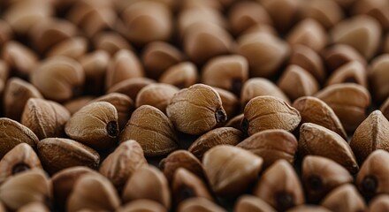 Macro Photography of Buckwheat Groats