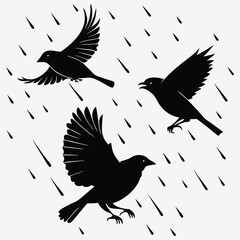 Obraz premium Sparrows joyfully hopping in the rain, embracing nature's gentle shower image silhouette design vector art and illustration