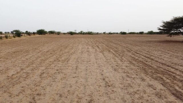 An agriculture land in the Thar Desert of Rajasthan(India) near Bikaner 