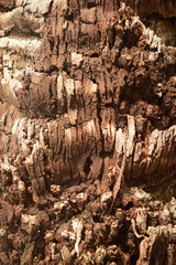 Textura de tronco de madeira de coqueiro podre com veios profundos e linhas de desgaste causadas pelo sol e pela chuva