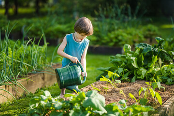 Cute little boy watering flower beds in the back yard at summer day. Child using watering can to...