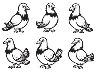 Pigeon bird outline drawing