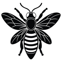 vector illustration of a bee