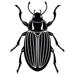 colorado potato beetle