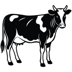 black and white cow
