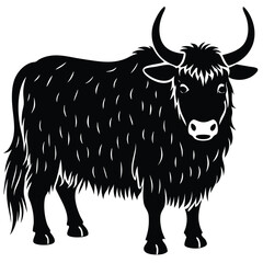 black and white bull
