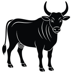 vector illustration of a bull