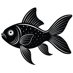 fish on a white background