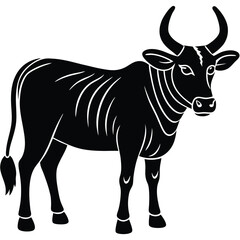 vector illustration of a cow