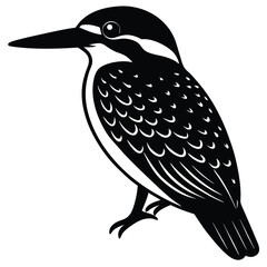 woodpecker vector