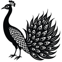 Fototapeta premium peacock vector illustration
