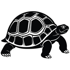 turtle vector illustration
