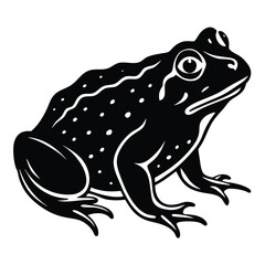 frog on white background