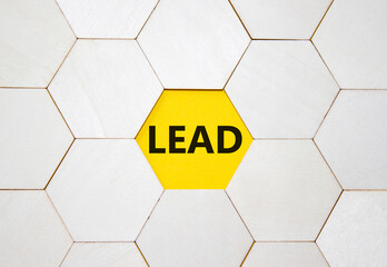 Lead symbol. Concept word Lead on wooden comb puzzle. Beautiful yellow background. Business and...