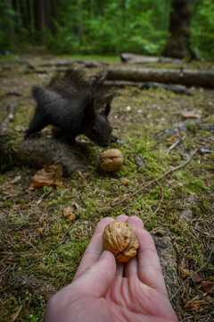 @Caching Images – Browse 103,985 Stock Photos, Vectors, and Video ...