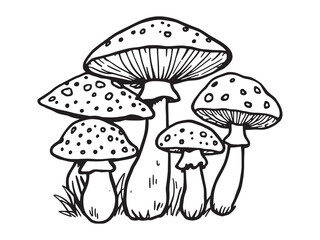 Spotted Mushroom Line Drawing