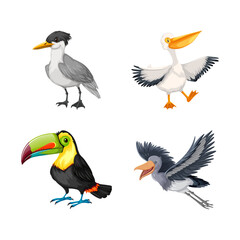 Diverse collection of cartoon birds depicted in vibrant illustrations against a dark background