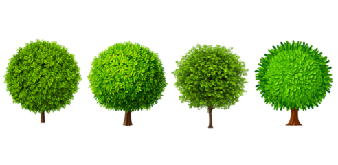 Four green trees isolated on transparent background