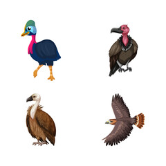 Obraz premium Illustration of four birds including cassowary vulture and hawk on black background