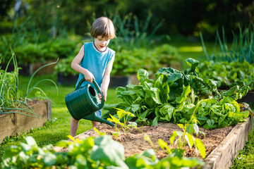 Cute little boy watering flower beds in the back yard at summer day. Child using watering can to...
