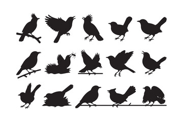 Obraz premium Collection of bird silhouettes in various poses