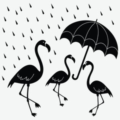 Naklejka premium Whimsical flamingos standing under colorful umbrellas in a fun, tropical setting image silhouette design vector art and illustration
