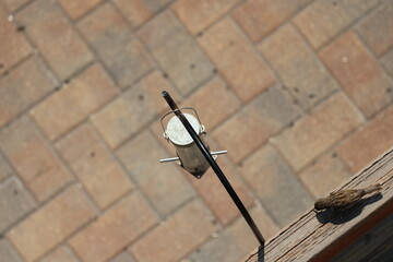 single small bird on wooden rail near hanging feeder above paved patio (overhead-view, close-up)