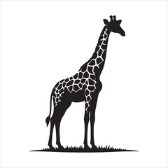 Obraz premium Silhouette vector of a giraffe standing on a white background