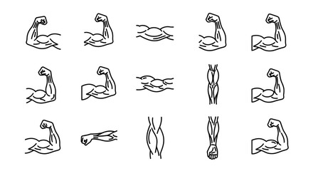 Collection of Biceps and Forearm Muscle Illustrations Line Art Graphics