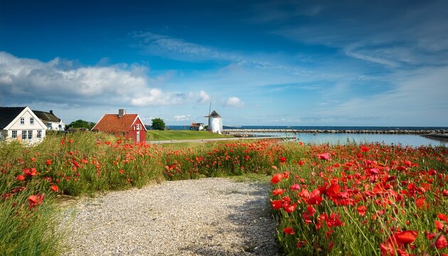 summer in denmark