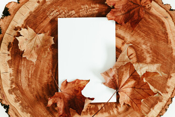 Old wooden surface of a tree cut with beautiful dry maple leaves and a white paper sheet in the center. Top view, Flat lay.